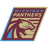 Michigan Panthers